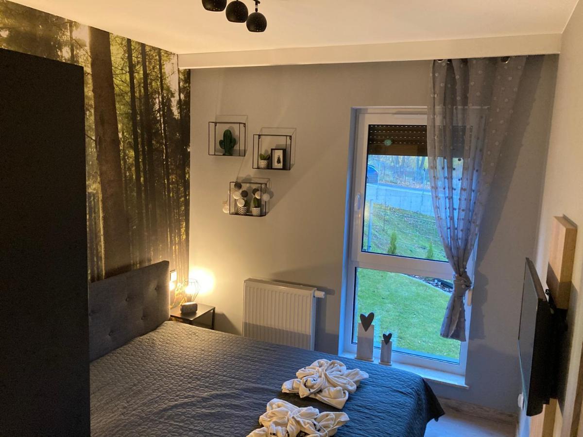 Apartament MODERN z ogrodem Szklarska Poręba Zewnętrze zdjęcie